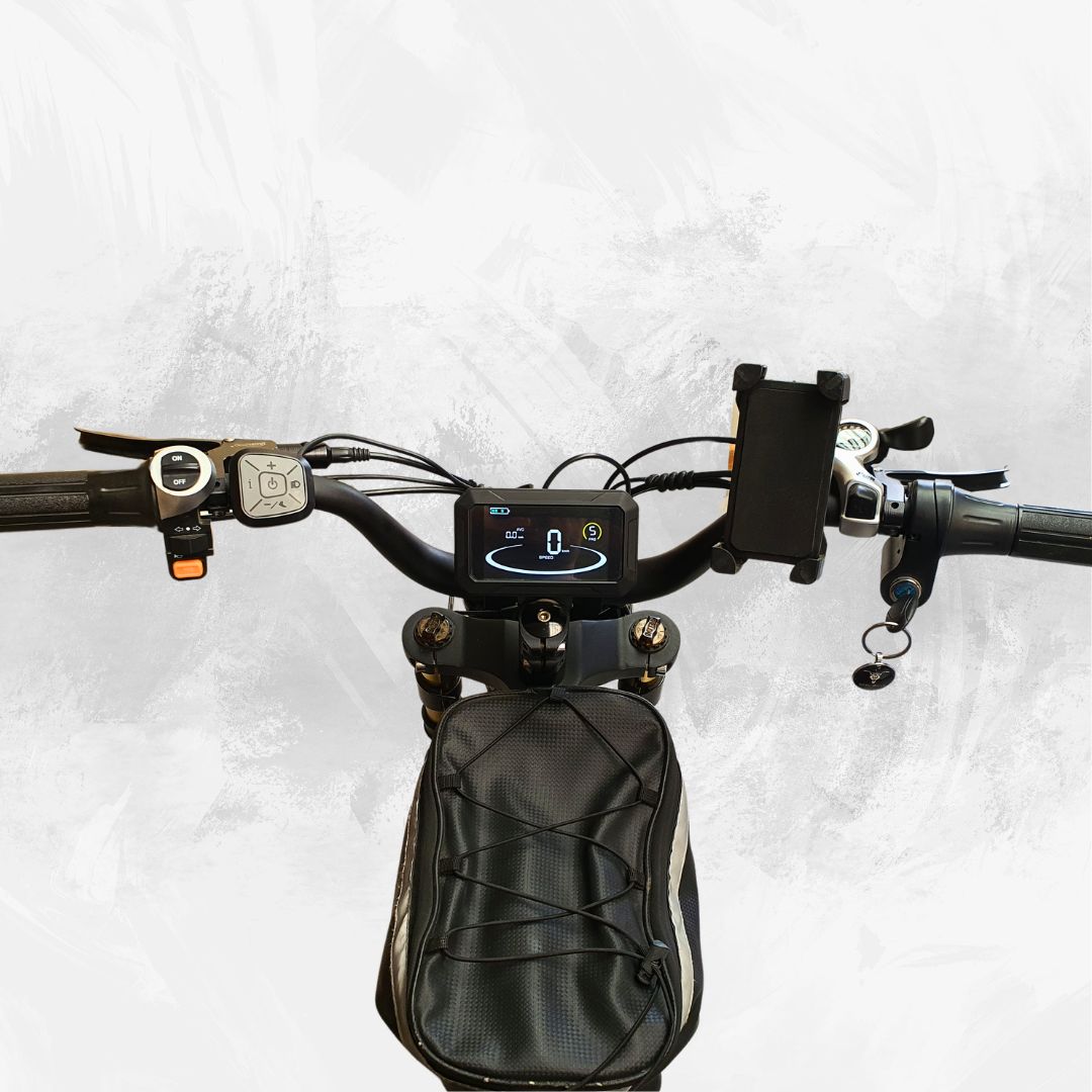 S1 CRUISER