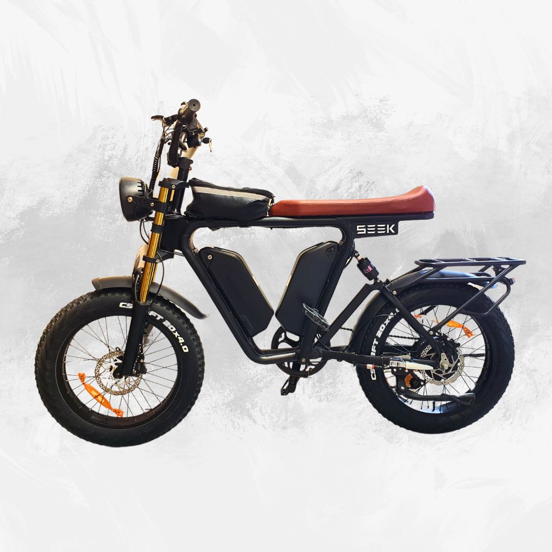 S1 CRUISER