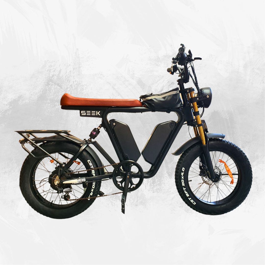 S1 CRUISER