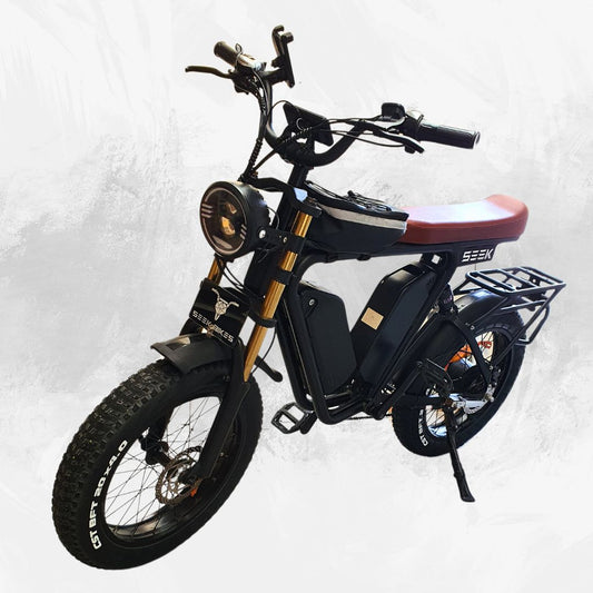 S1 CRUISER