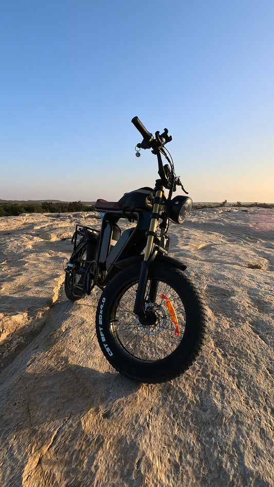 S1 CRUISER RENTAL PER HOUR